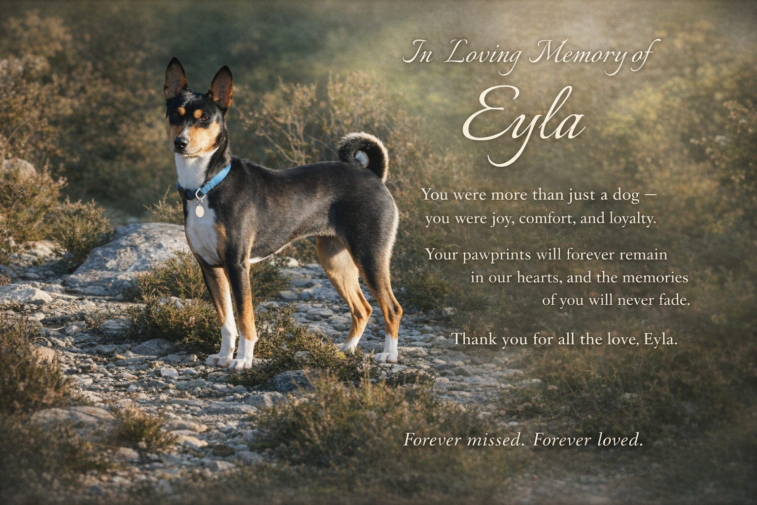 16.12.2005 - 04.02.2017